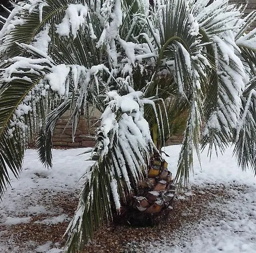 Séjour à la campagne Casa La Tortola